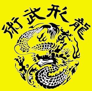 Le Tai Chi Chuan est un art martial d'origine tao�ste. La forme yang de la famille Tung est une discipline traditionnelle qui comprend des percussions, des clefs, des projections, des pouss�es de mains qui permettent d'affiner les sensations relatives au contact avec un adversaire. C'est � travers une perception multidirectionnelle dans six directions et des gestes lents que l'on peut progressivement d�velopper une force �lastique explosive. Ce style comprend la pratique d'une forme lente � mains nues, une forme explosive � mains nues et quatre formes d'armes : le sabre, l'�p�e, la lance et l'�ventail. La pratique du ta�chi permet de rester en bonne sant�, de s'assouplir, de favoriser un �quilibre global des �nergies. 