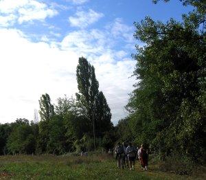 La marche de Saint-Martin sur le chemin des Clouques